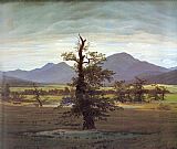 Caspar David Friedrich Famous Paintings - Landscape with Solitary Tree